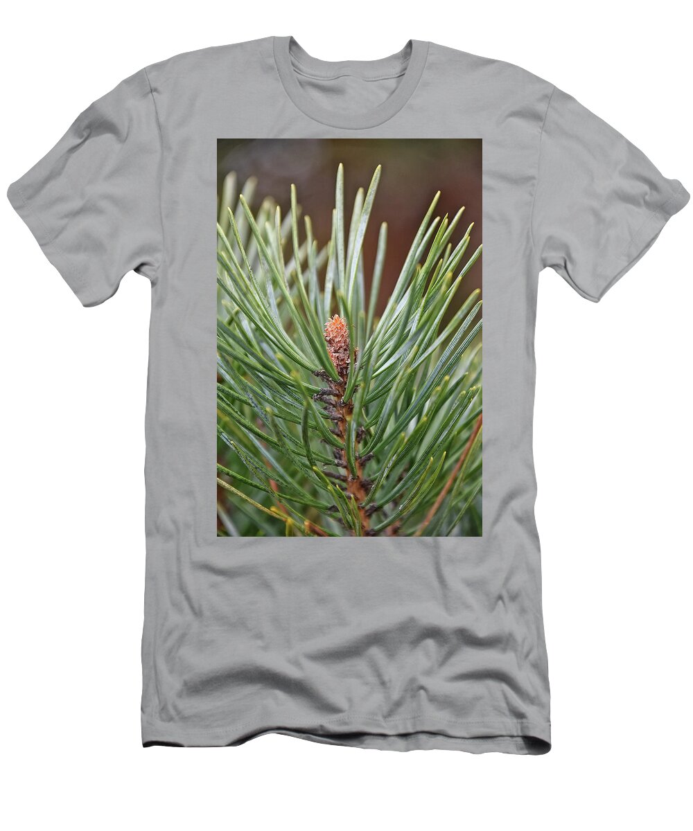 Pine T-Shirt featuring the photograph In the Beginning by Kuni Photography
