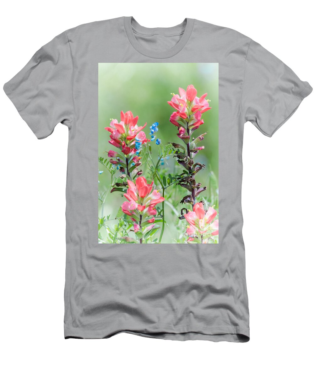 Nature T-Shirt featuring the photograph Indian Paintbrush Dab of Blue by Robert Frederick