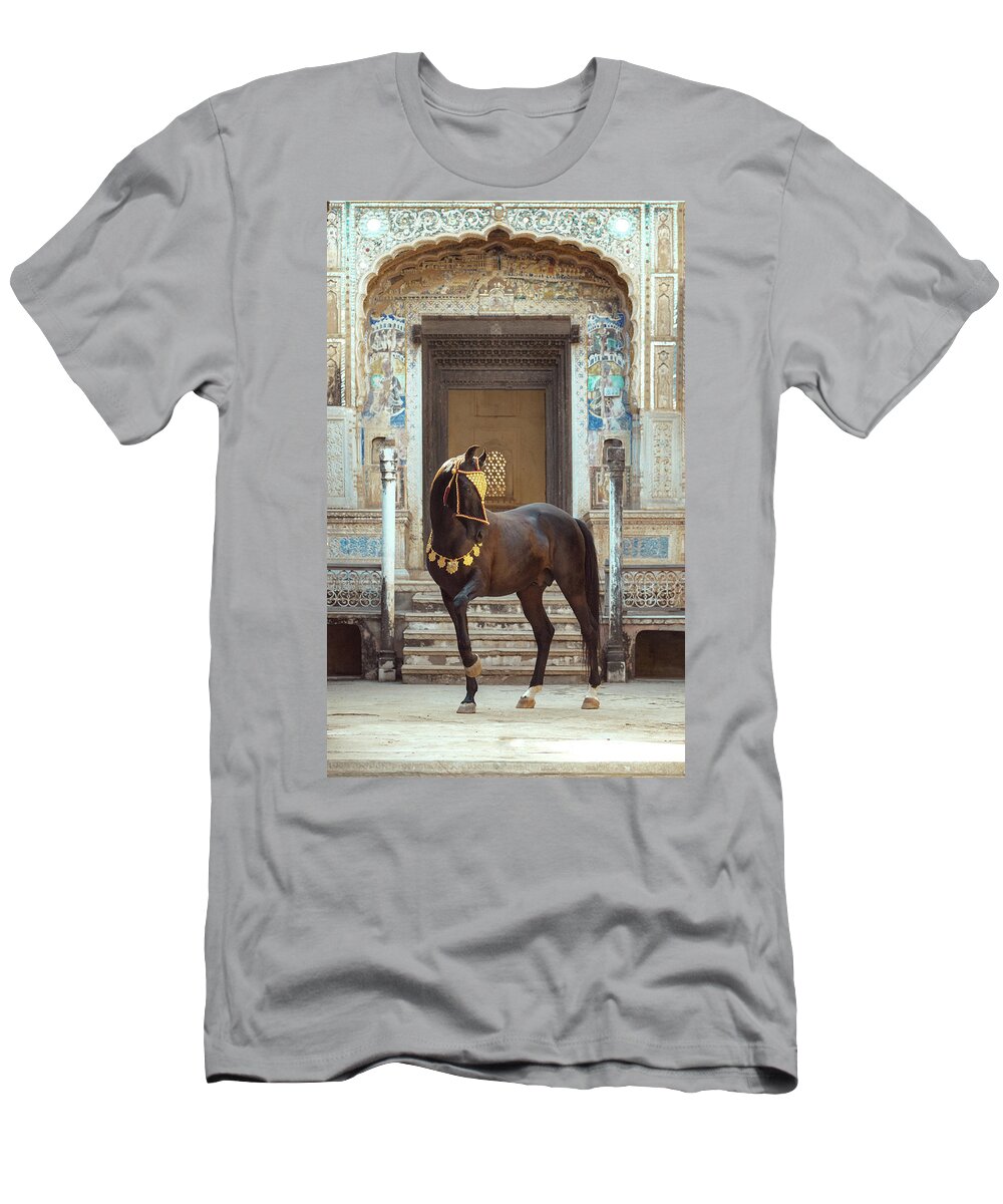Russian Artists New Wave T-Shirt featuring the photograph Indian Treasure by Ekaterina Druz