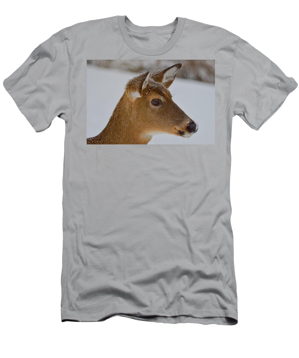 Deer T-Shirt featuring the photograph Intense Look by Hella Buchheim