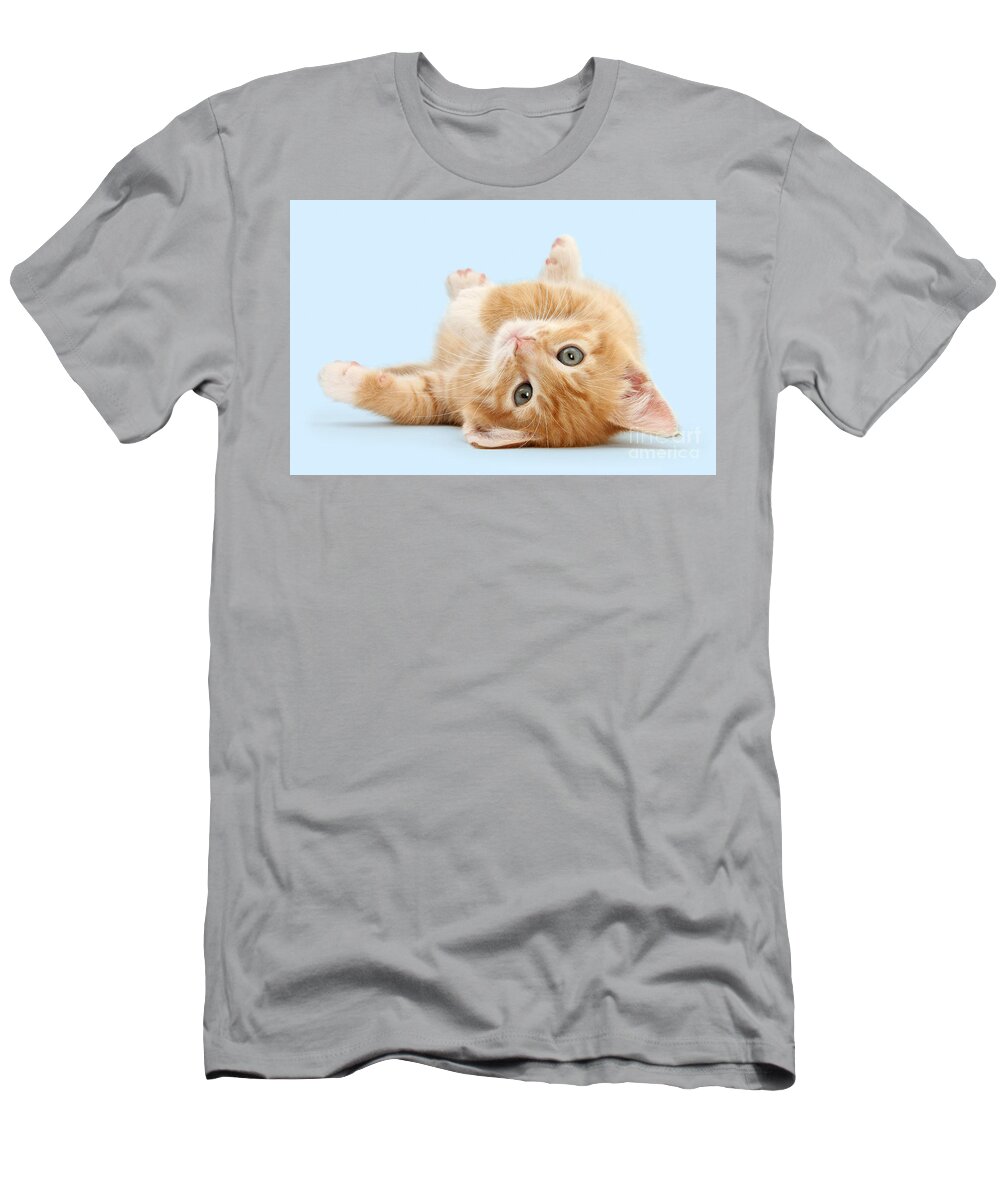Ginger T-Shirt featuring the photograph It's Sunday, I'm feeling lazy by Warren Photographic