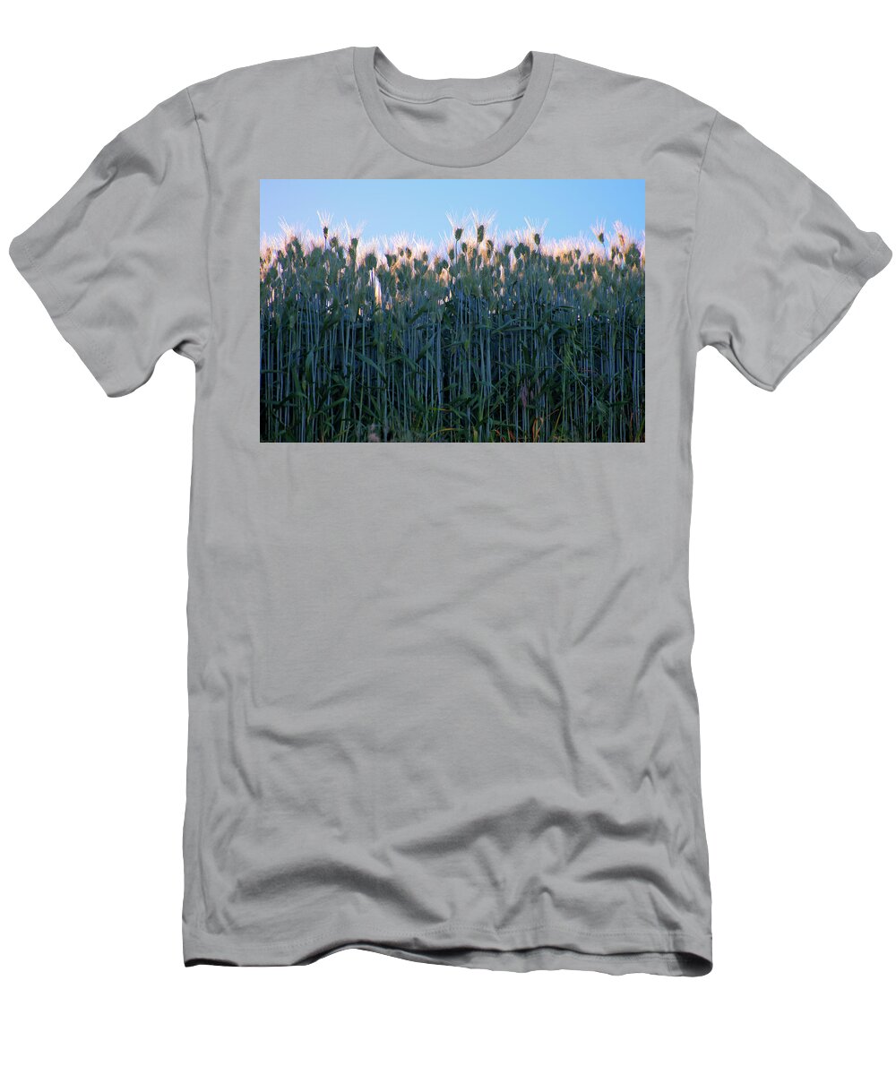 Outdoors T-Shirt featuring the photograph July Crops by Doug Davidson