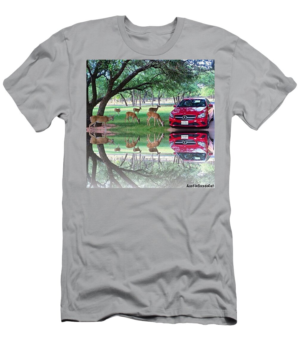 Photoshop T-Shirt featuring the photograph Just A Little Bit #crazy, #fun And by Austin Tuxedo Cat