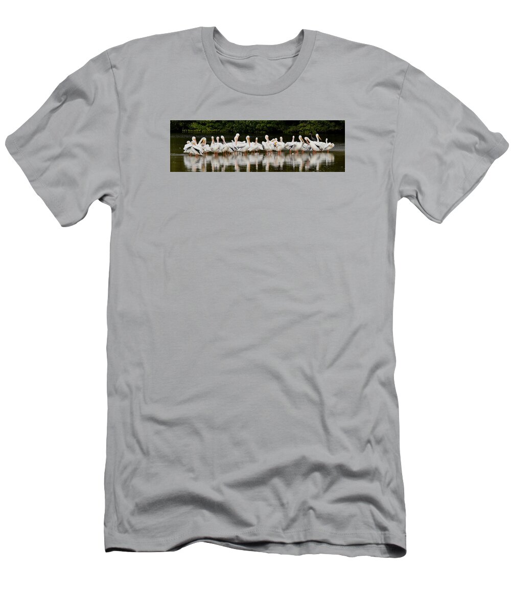 Pelican T-Shirt featuring the photograph Just resting by Jim Bennight