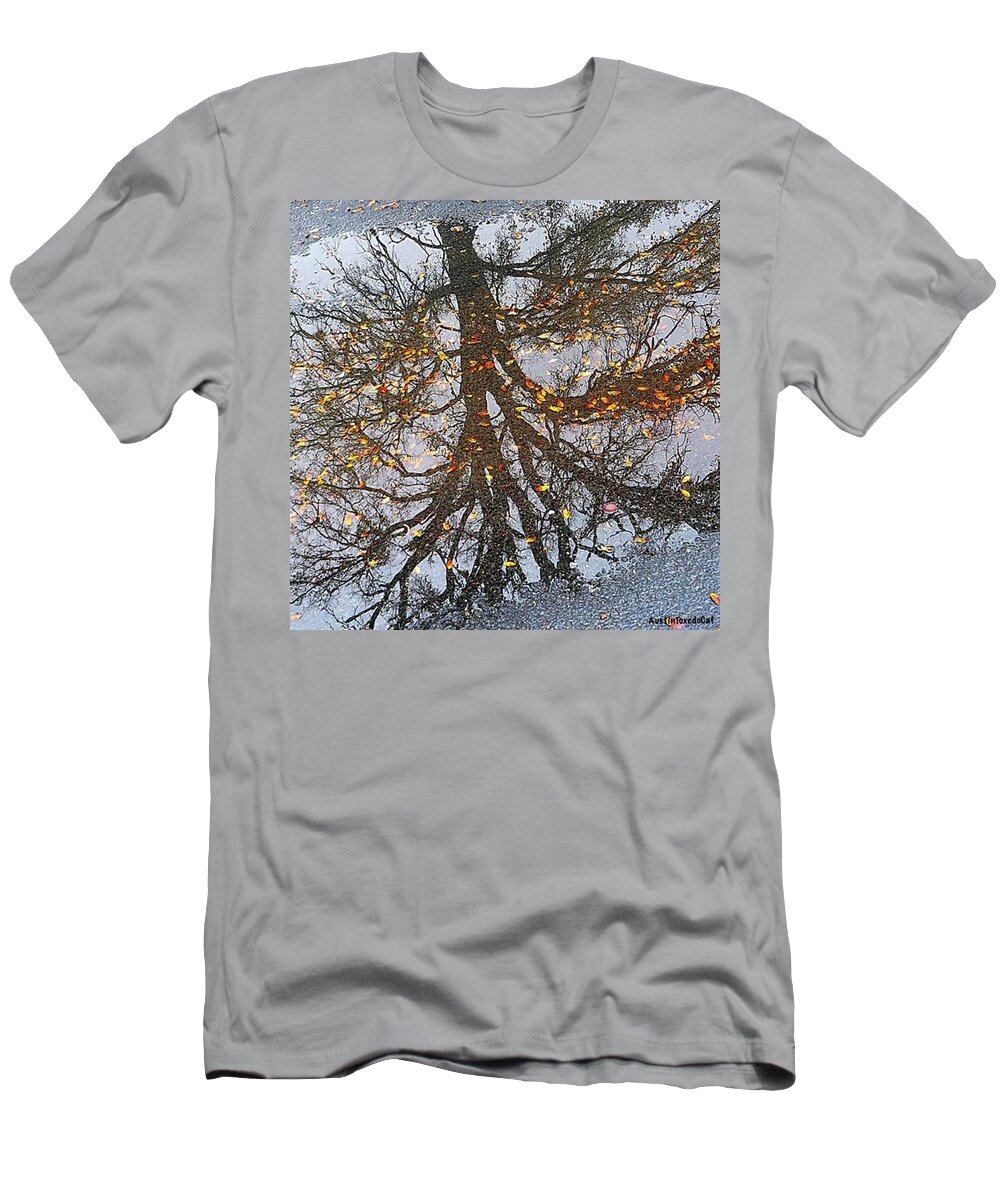 Puddles T-Shirt featuring the photograph Just Some Post #thanksgiving by Austin Tuxedo Cat