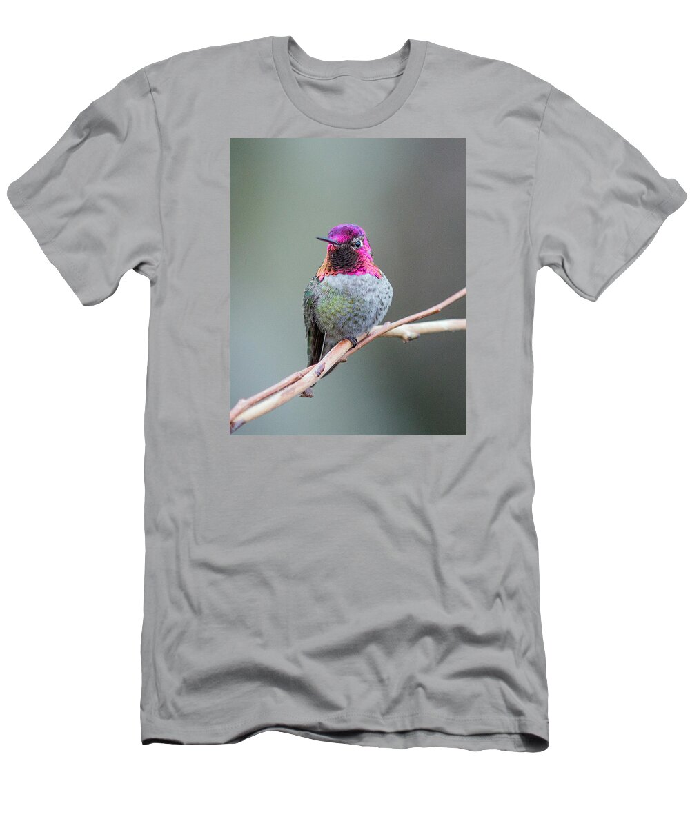 Nature Photography T-Shirt featuring the photograph Karisa's Hummingbird.1 by E Faithe Lester