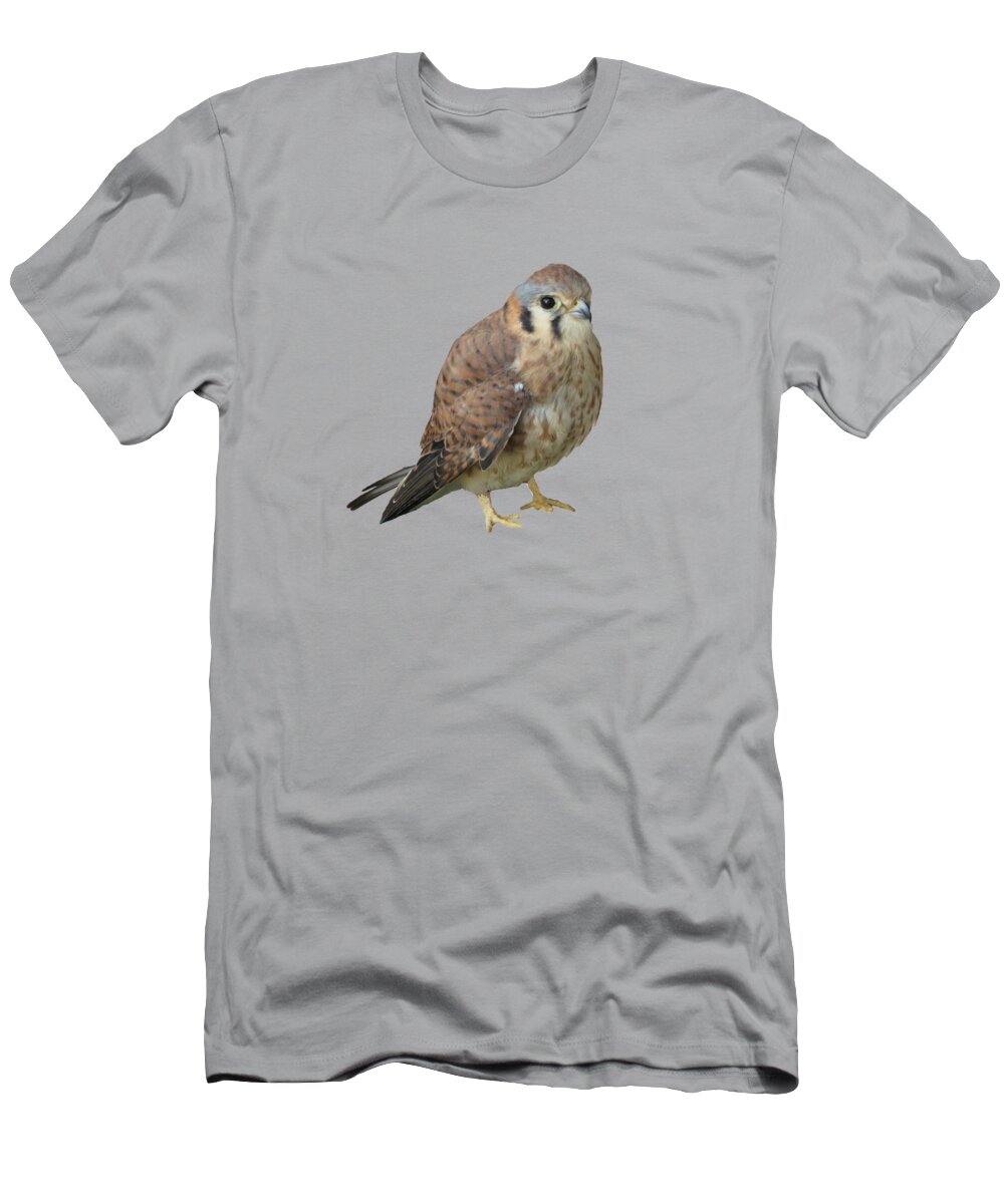 Arizona T-Shirt featuring the photograph Kestrel by Laurel Powell