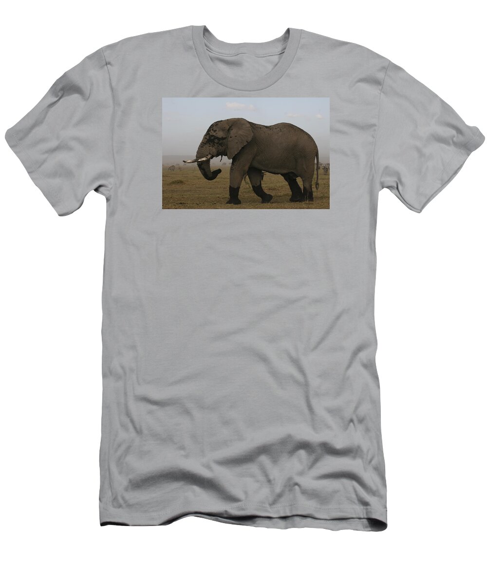 Gary Hall T-Shirt featuring the photograph King of the Savannah by Gary Hall