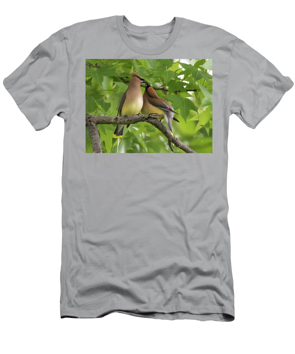 Bird T-Shirt featuring the photograph Kissing in a Tree by Jody Partin