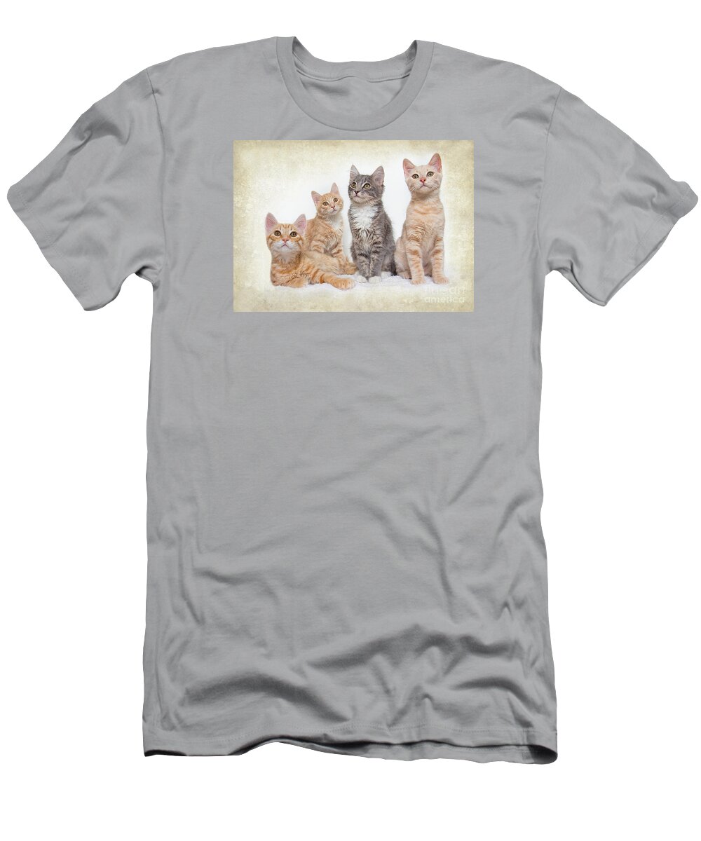 Kittens T-Shirt featuring the photograph Kittens by Mimi Ditchie