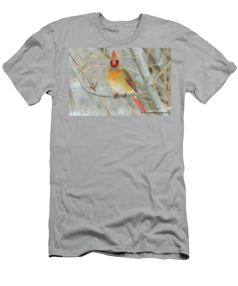 Cardinal T-Shirt featuring the photograph Lady In Waiting by Tami Quigley