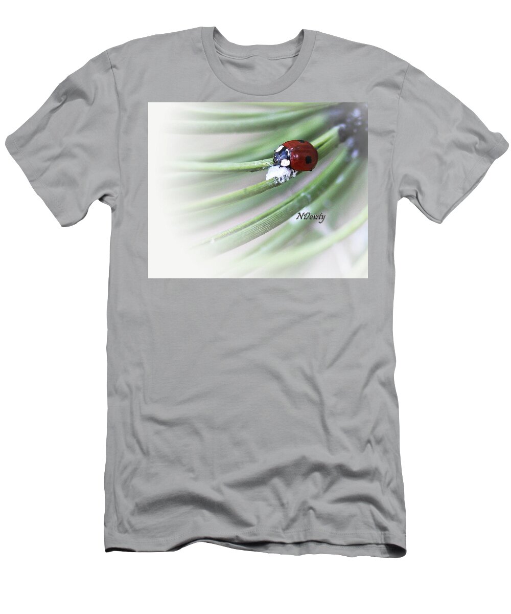 Ladybug On Pine T-Shirt featuring the photograph Ladybug on Pine by Natalie Dowty