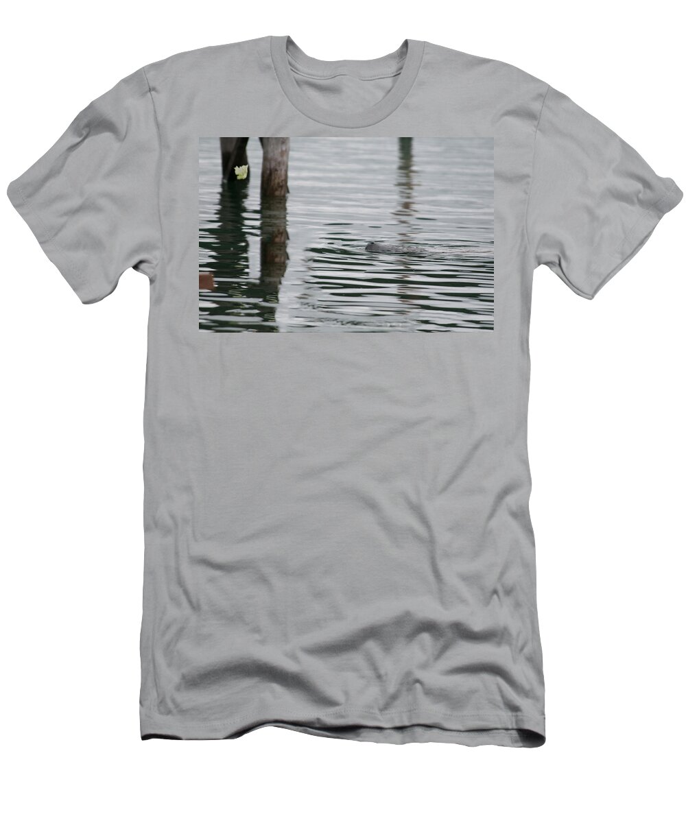 Yucatan Peninsula T-Shirt featuring the digital art Laguna Guerrero by Carol Ailles
