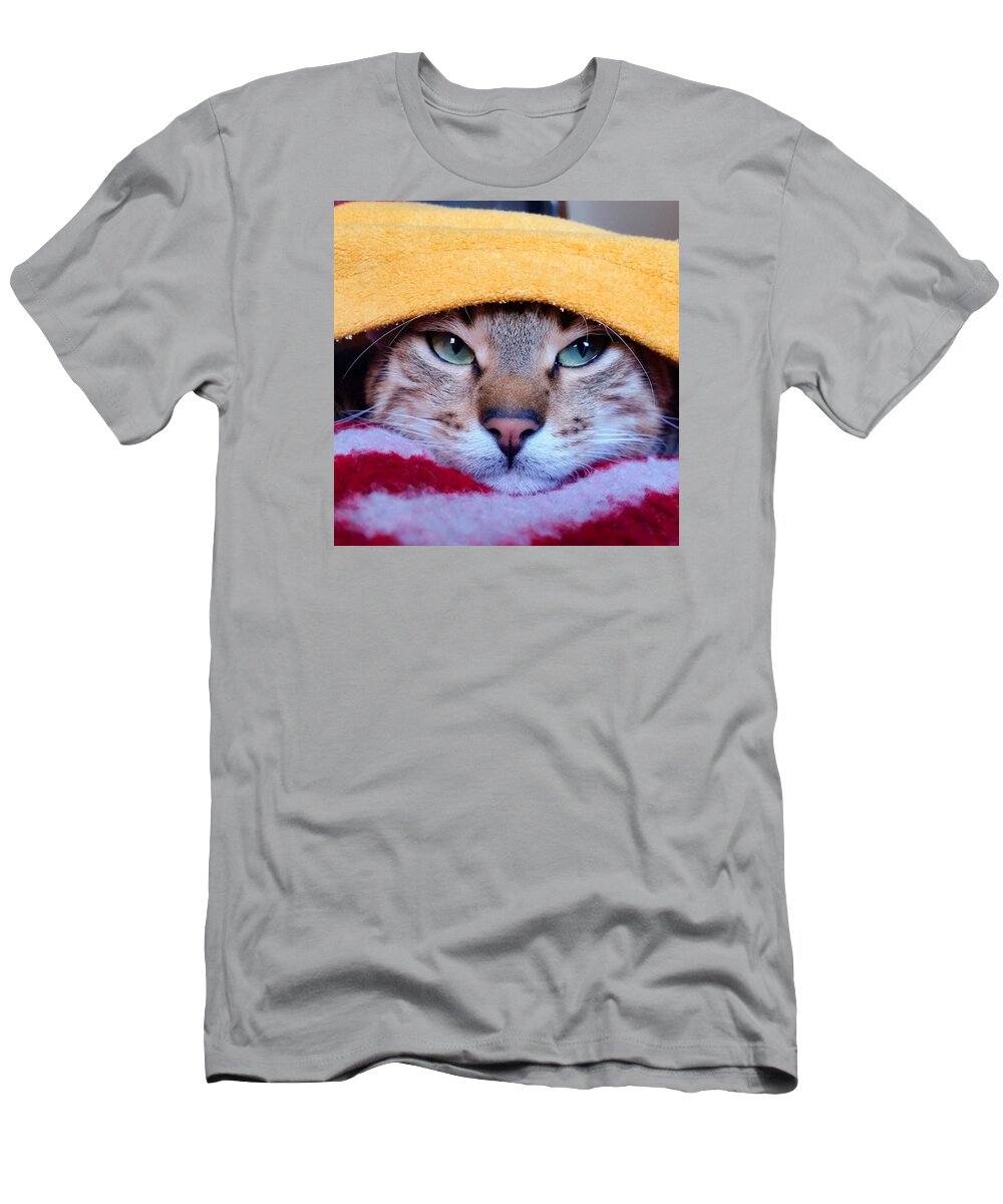 Cat T-Shirt featuring the photograph Lazy by Ezgi Turkmen
