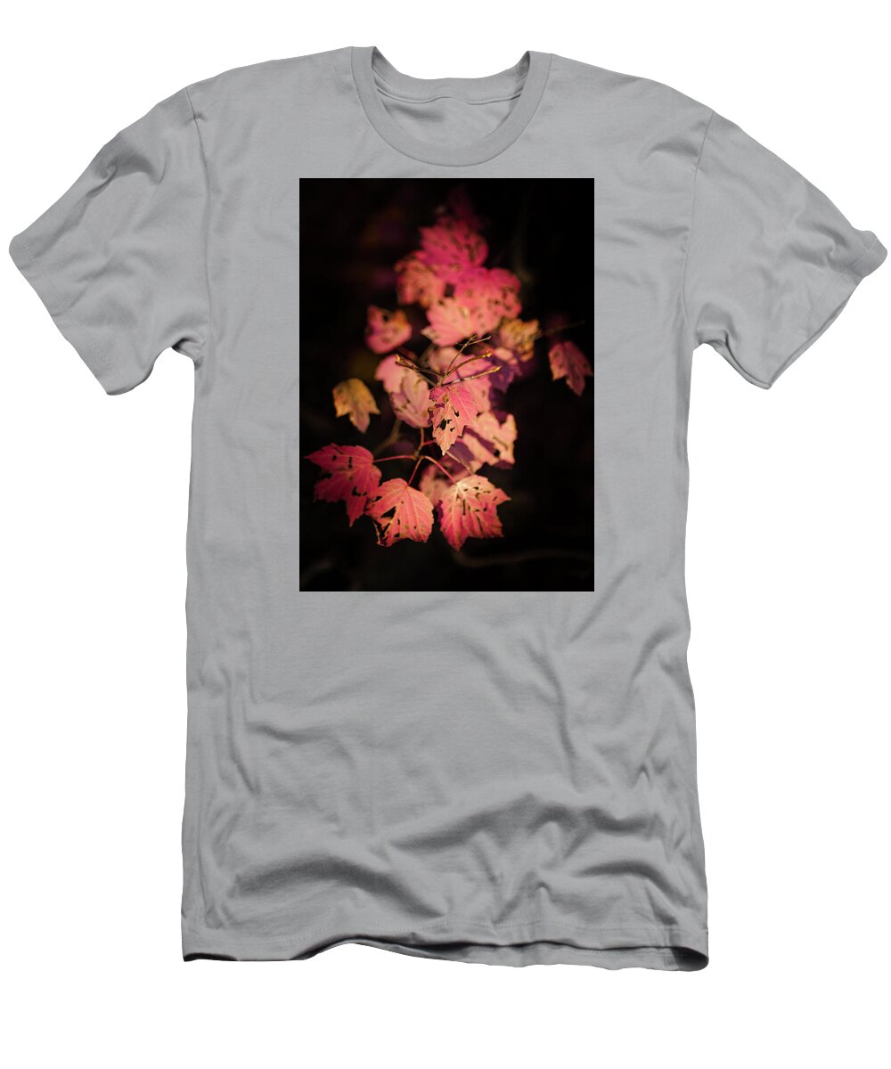 Autumn Pink Leaves T-Shirt featuring the photograph LEAVES of SURRENDER by Karen Wiles