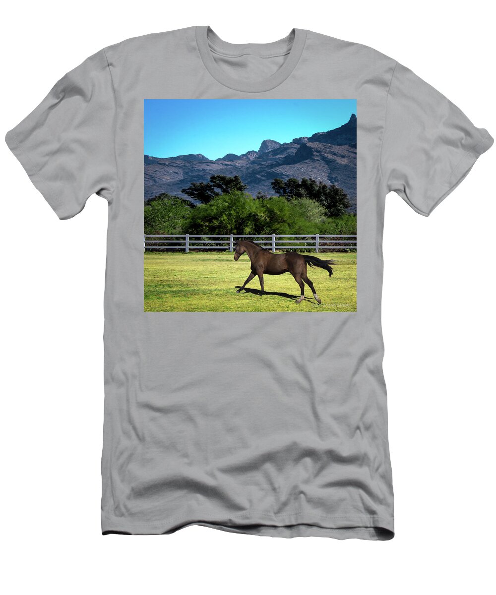 Horse T-Shirt featuring the photograph Leo 2 by Sandra Nesbit