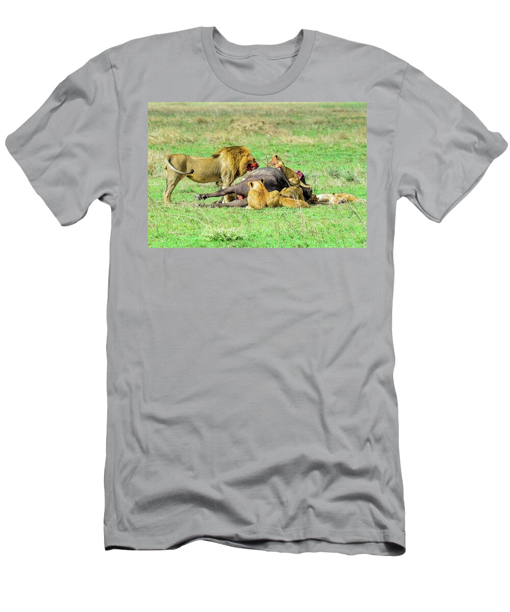 Africa T-Shirt featuring the photograph Lion Pride with Cape Buffalo by Marilyn Burton