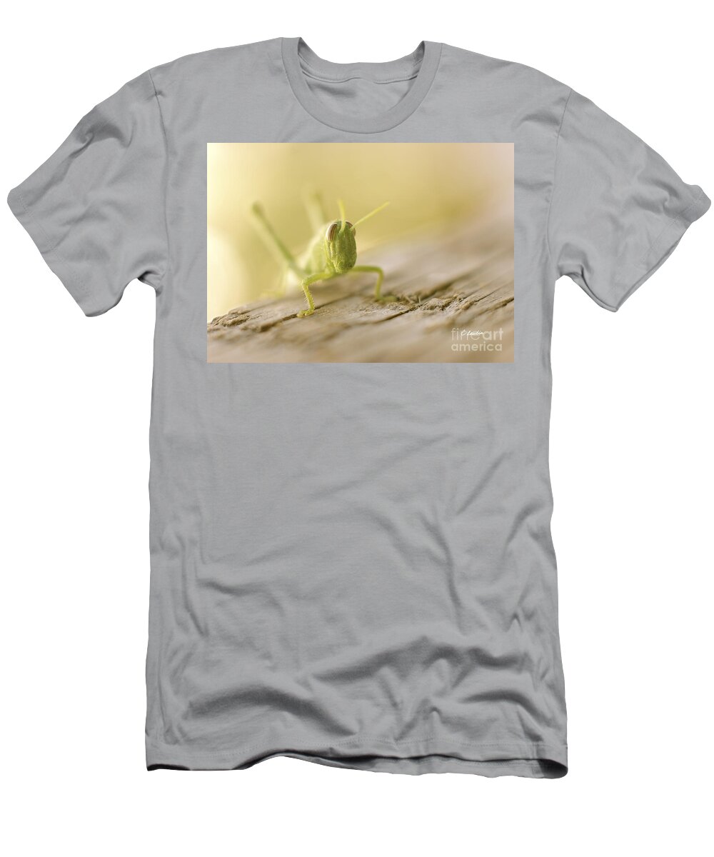 Lucky Grasshopper T-Shirt featuring the photograph Little Grasshopper by Claudia Ellis