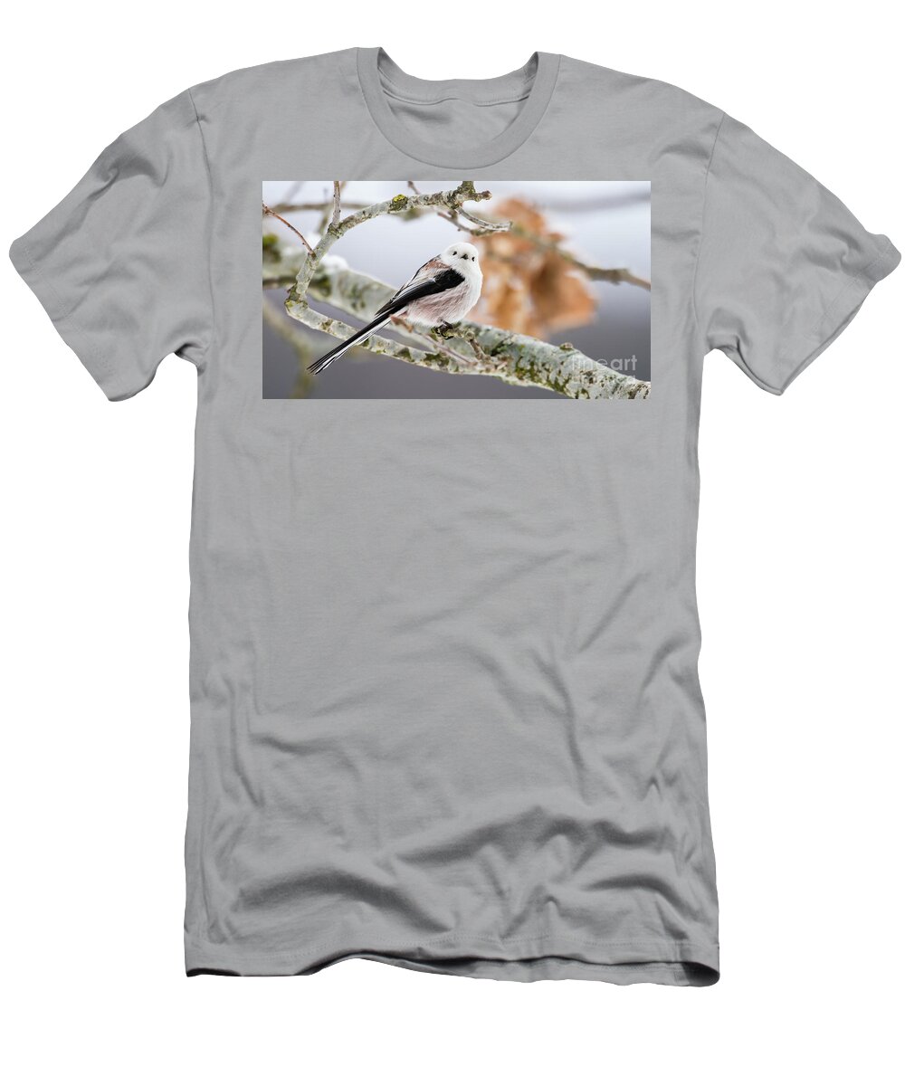 Long-tailed Tit T-Shirt featuring the photograph Long-tailed tit by Torbjorn Swenelius