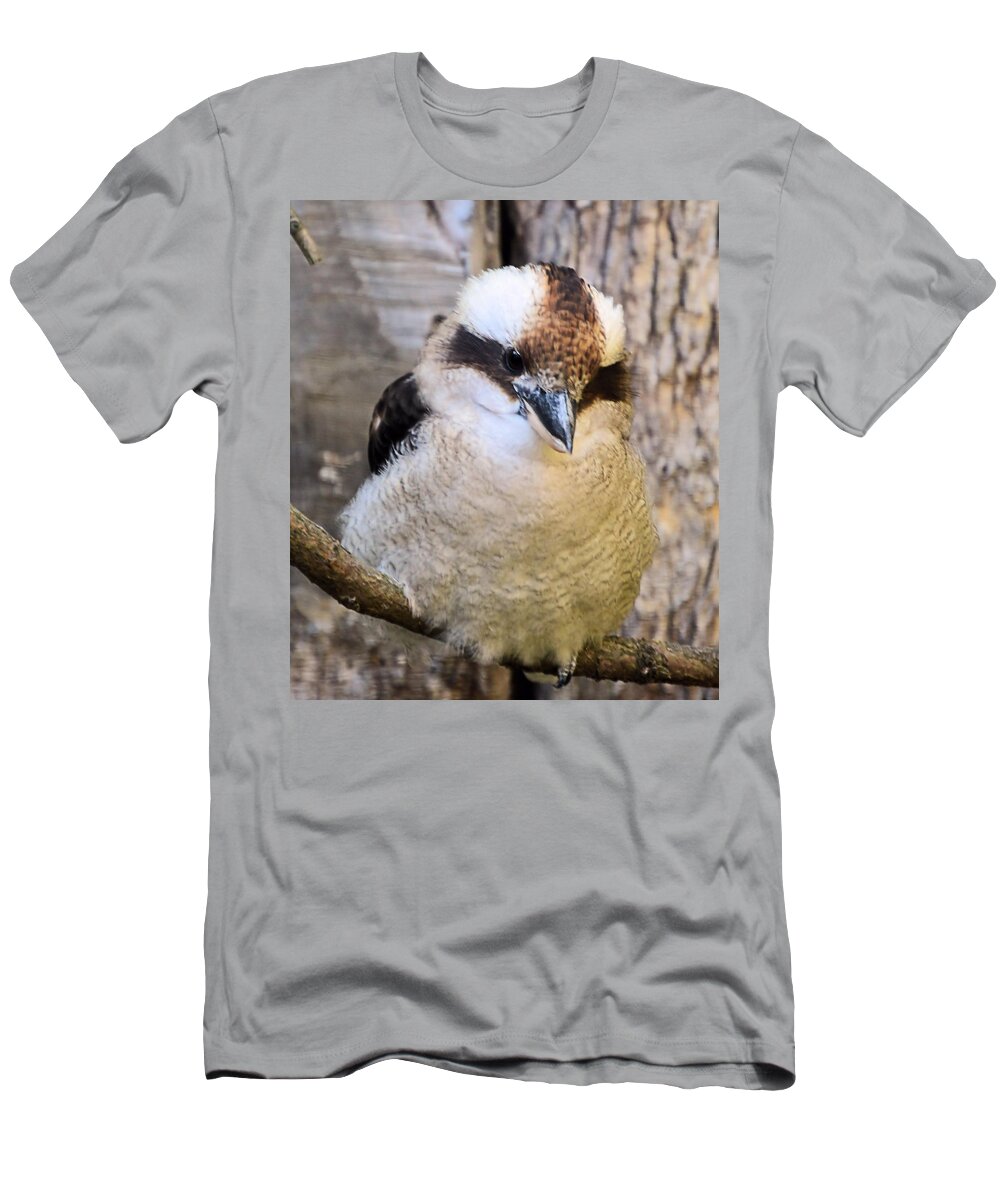 Birds T-Shirt featuring the photograph Looking at you. by Charles HALL
