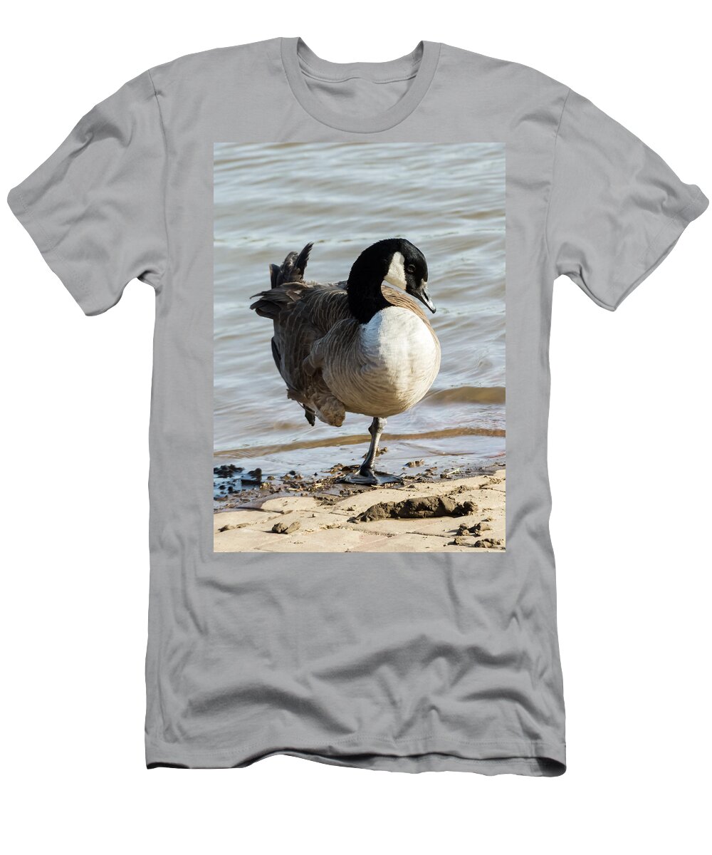 Jan Holden T-Shirt featuring the photograph Canada Goose Looking Pretty by Holden The Moment