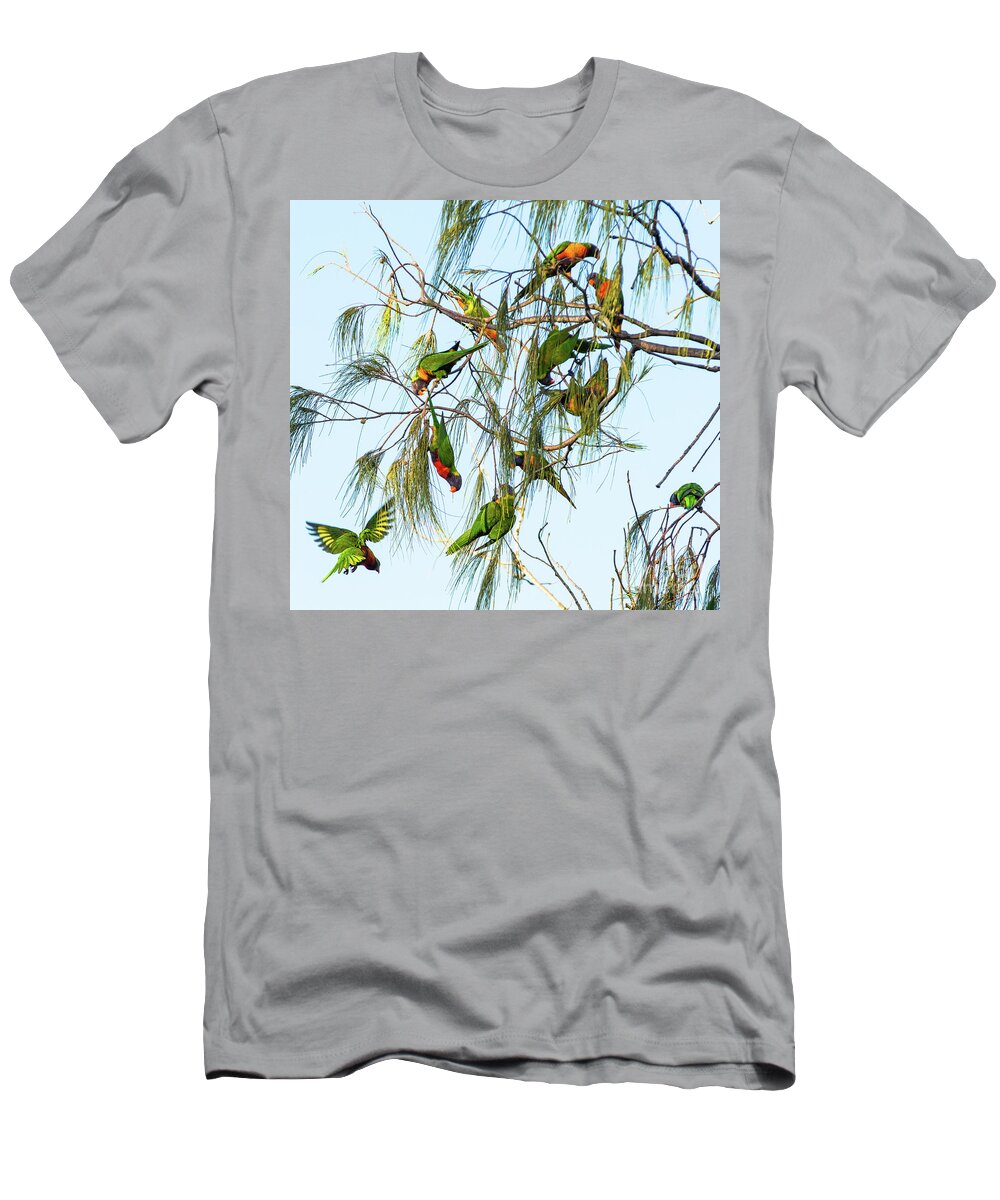 2017 T-Shirt featuring the photograph Lorikeets swarming from tree to tree by Andrew Michael