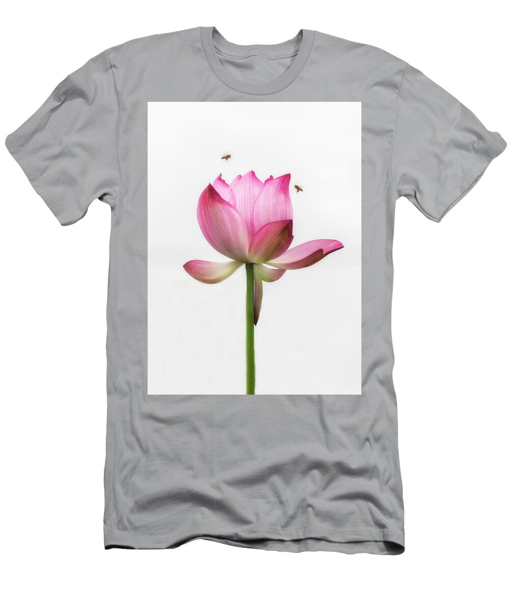 China T-Shirt featuring the photograph Attraction between the bees and the flower. by Usha Peddamatham