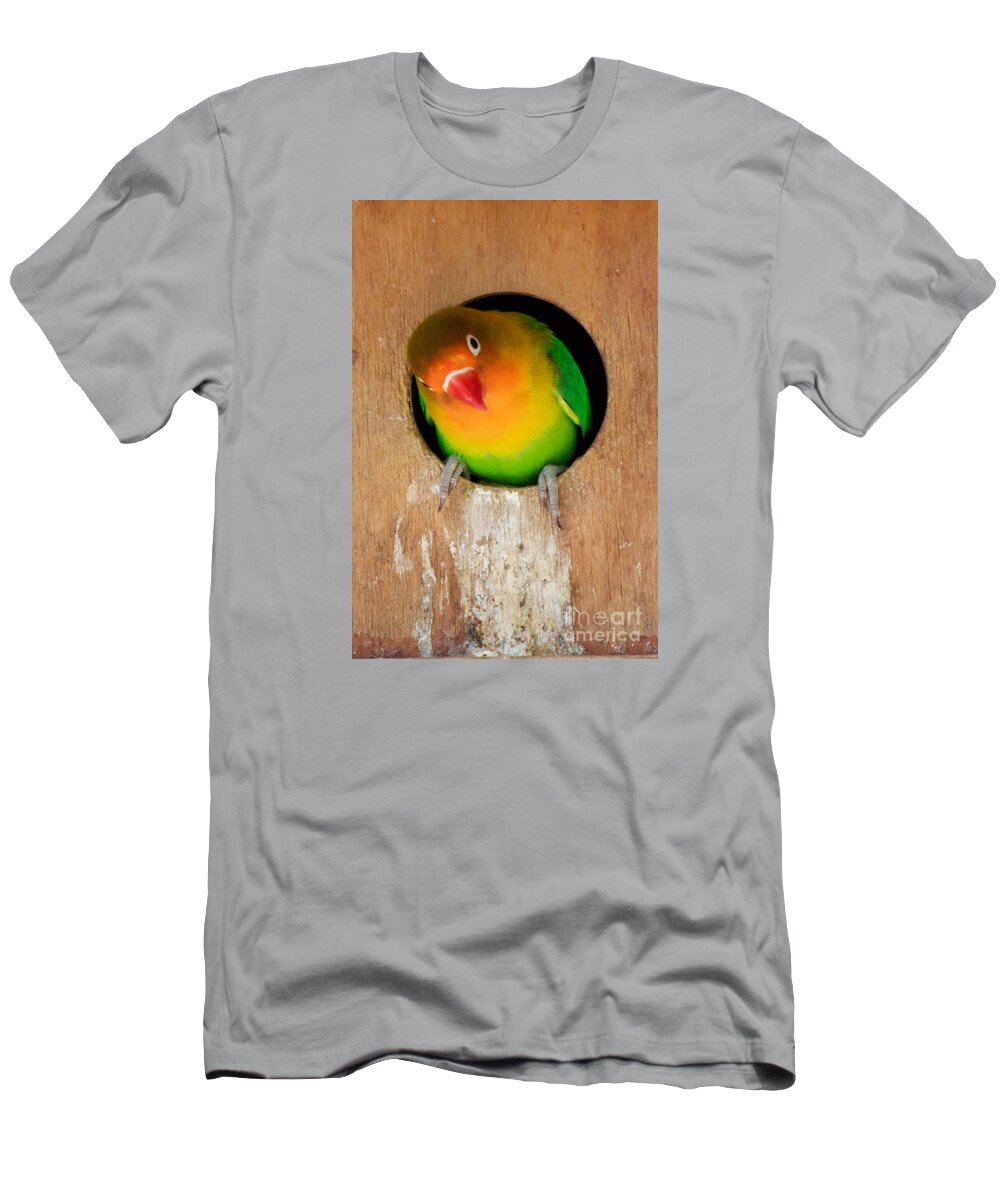 Photography T-Shirt featuring the photograph Love Bird by Sean Griffin