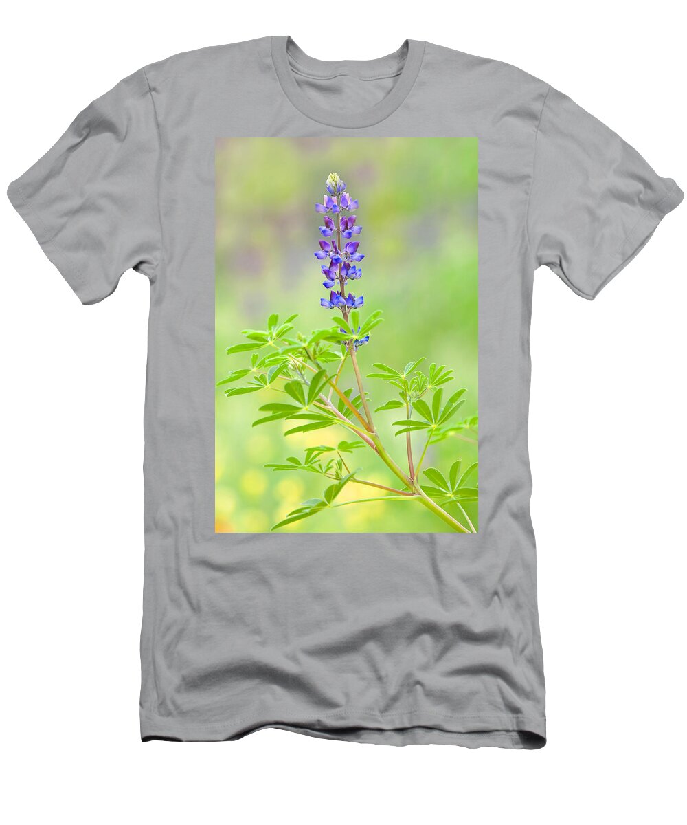 Lupine T-Shirt featuring the photograph Lupine by Ram Vasudev