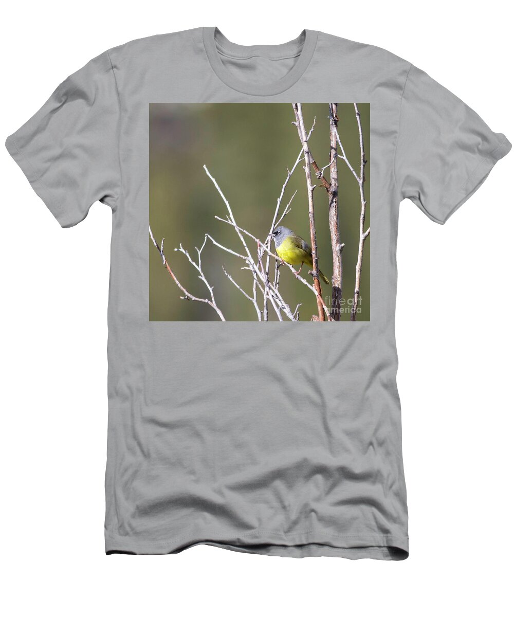 Macgillivray's Warbler T-Shirt featuring the photograph MacGillivray's Warbler by Natural Focal Point Photography