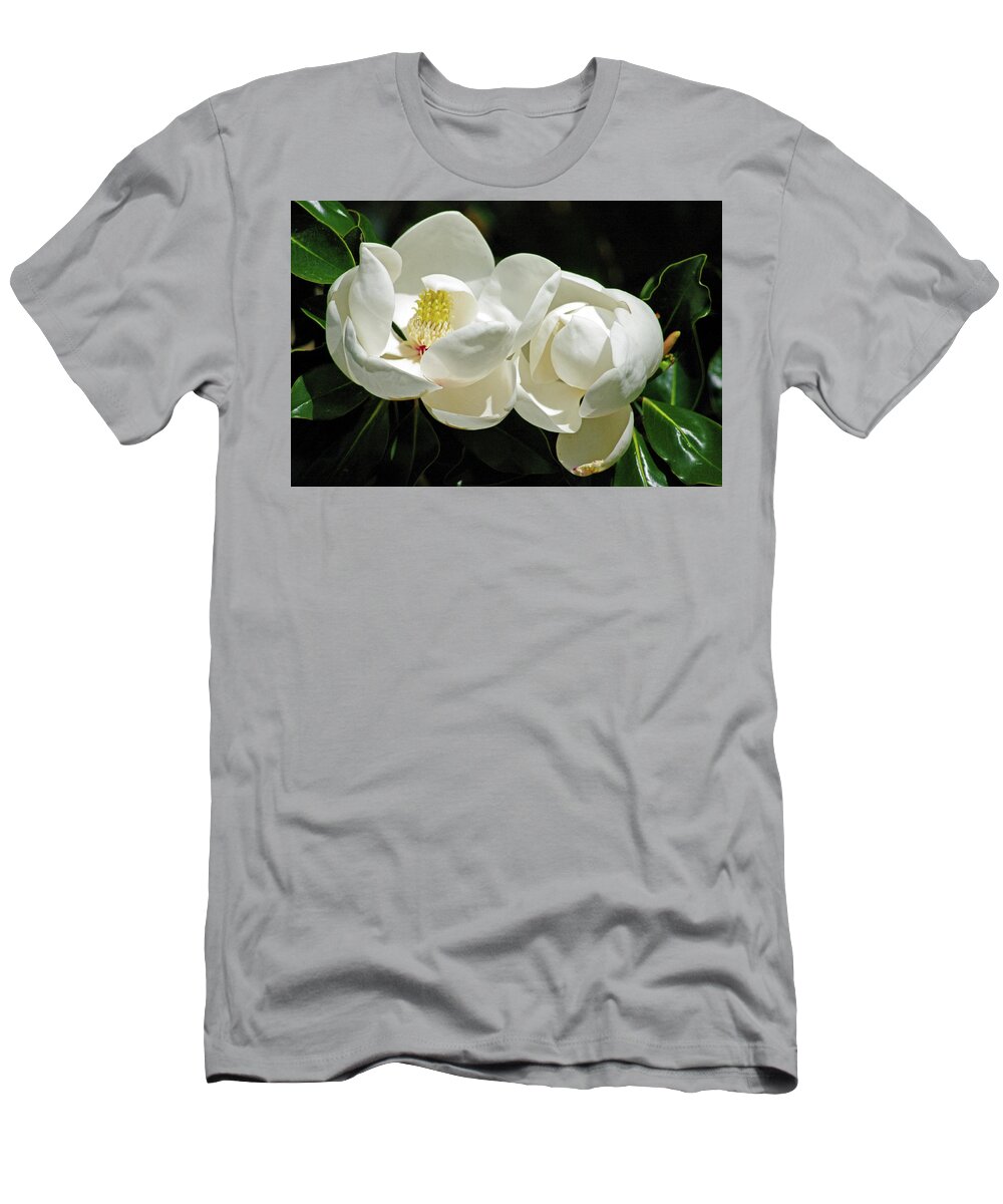 Nature T-Shirt featuring the photograph Magnolia Bliss by Bess Carter