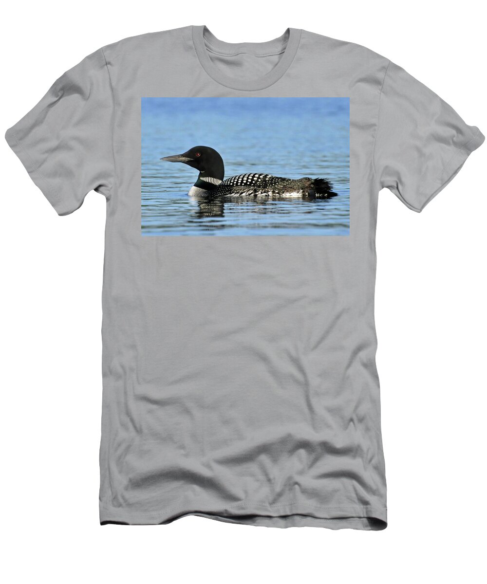 Loon T-Shirt featuring the photograph Maine Loon by Glenn Gordon