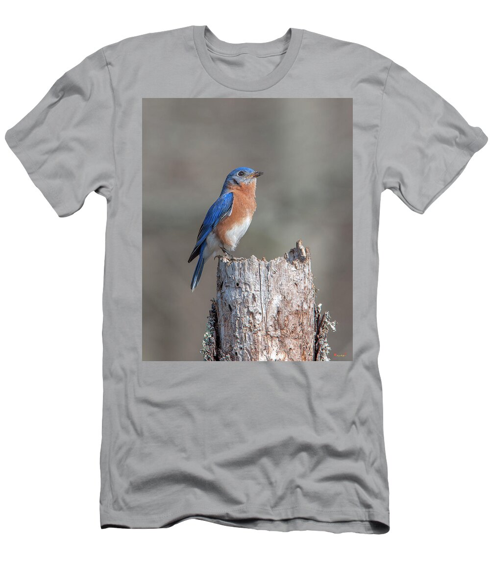 Nature T-Shirt featuring the photograph Male Eastern Bluebird Singing DSB0287 by Gerry Gantt