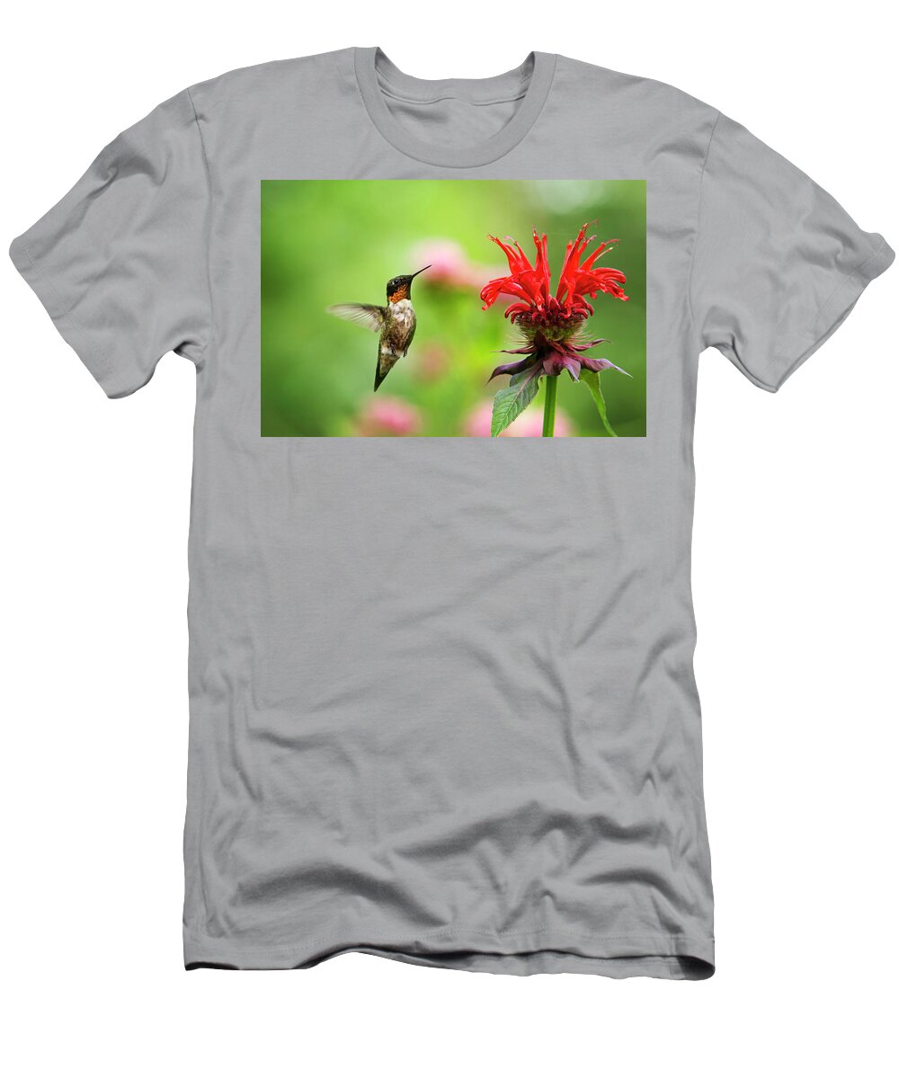 Hummingbird T-Shirt featuring the photograph Male Ruby-Throated Hummingbird Hovering Near Flowers by Christina Rollo