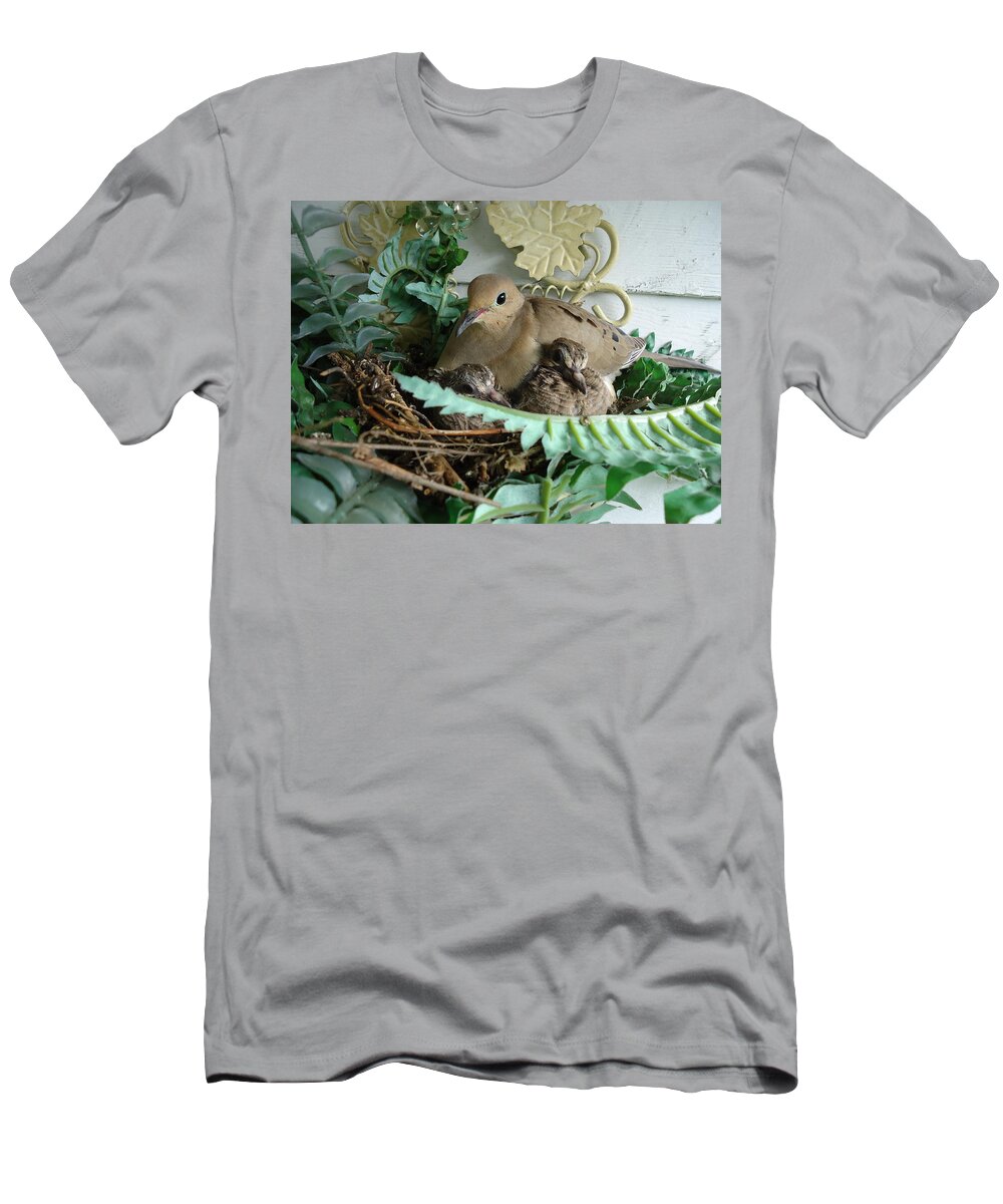 Birds T-Shirt featuring the photograph Mama Morning Dove by Leslie Manley