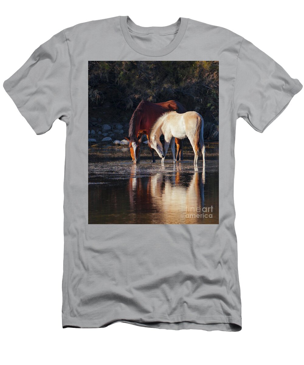 Salt River Wild Horse Horses T-Shirt featuring the photograph Mare And Colt Reflection by Jerry Cowart