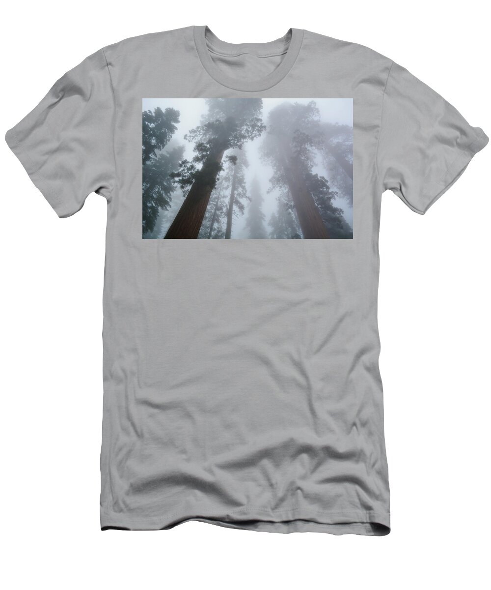 Yosemite National Park T-Shirt featuring the photograph Mariposa Grove Winter by Kyle Hanson