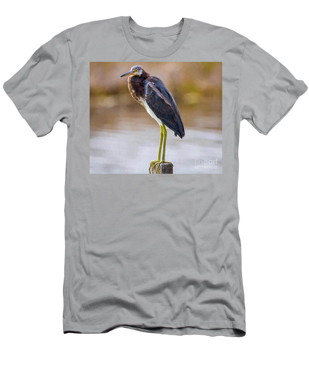 Nature T-Shirt featuring the painting Master Of The Post 2 - Egretta Tricolor by DB Hayes