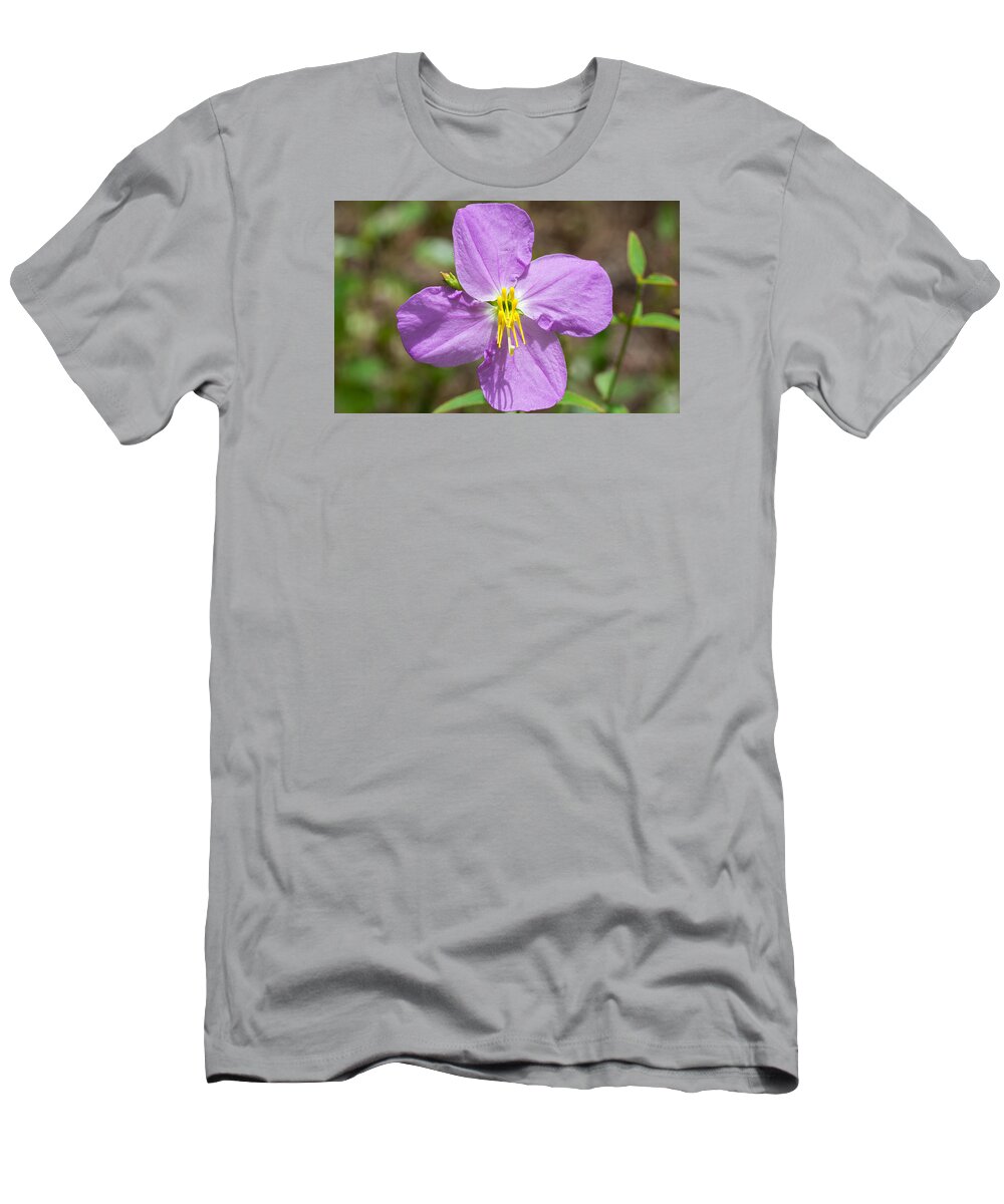 Nature T-Shirt featuring the photograph Meadow Beauty by Kenneth Albin