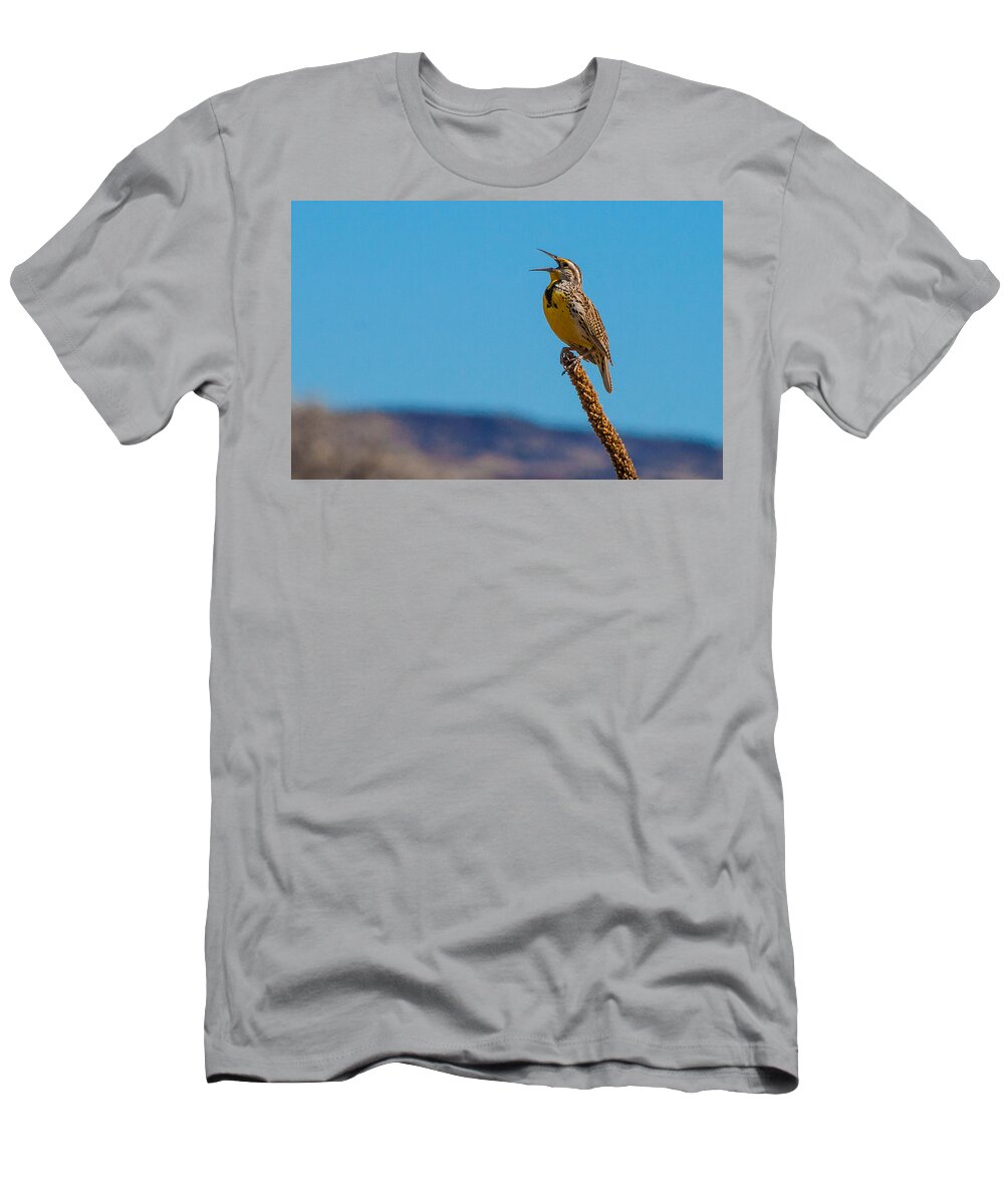 Meadowlark T-Shirt featuring the photograph Meadowlark In Spring by Mindy Musick King