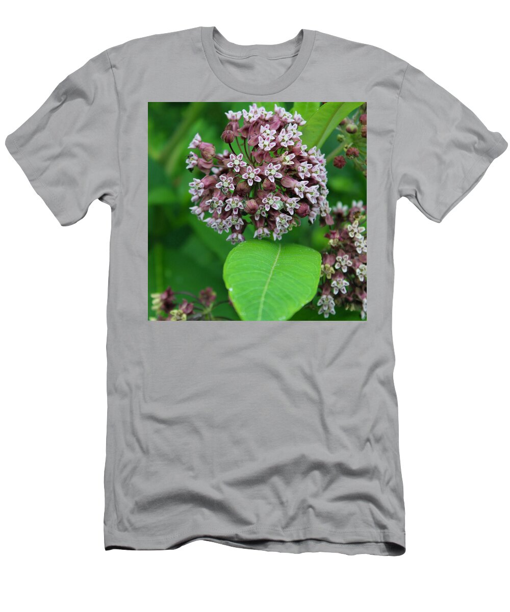 Photograph T-Shirt featuring the photograph Milkweed in Bloom on the Blue Ridge by M E