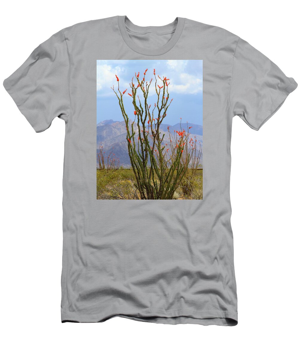 Mohave Ocotillo T-Shirt featuring the photograph Mohave Ocotillo by Bonnie Follett