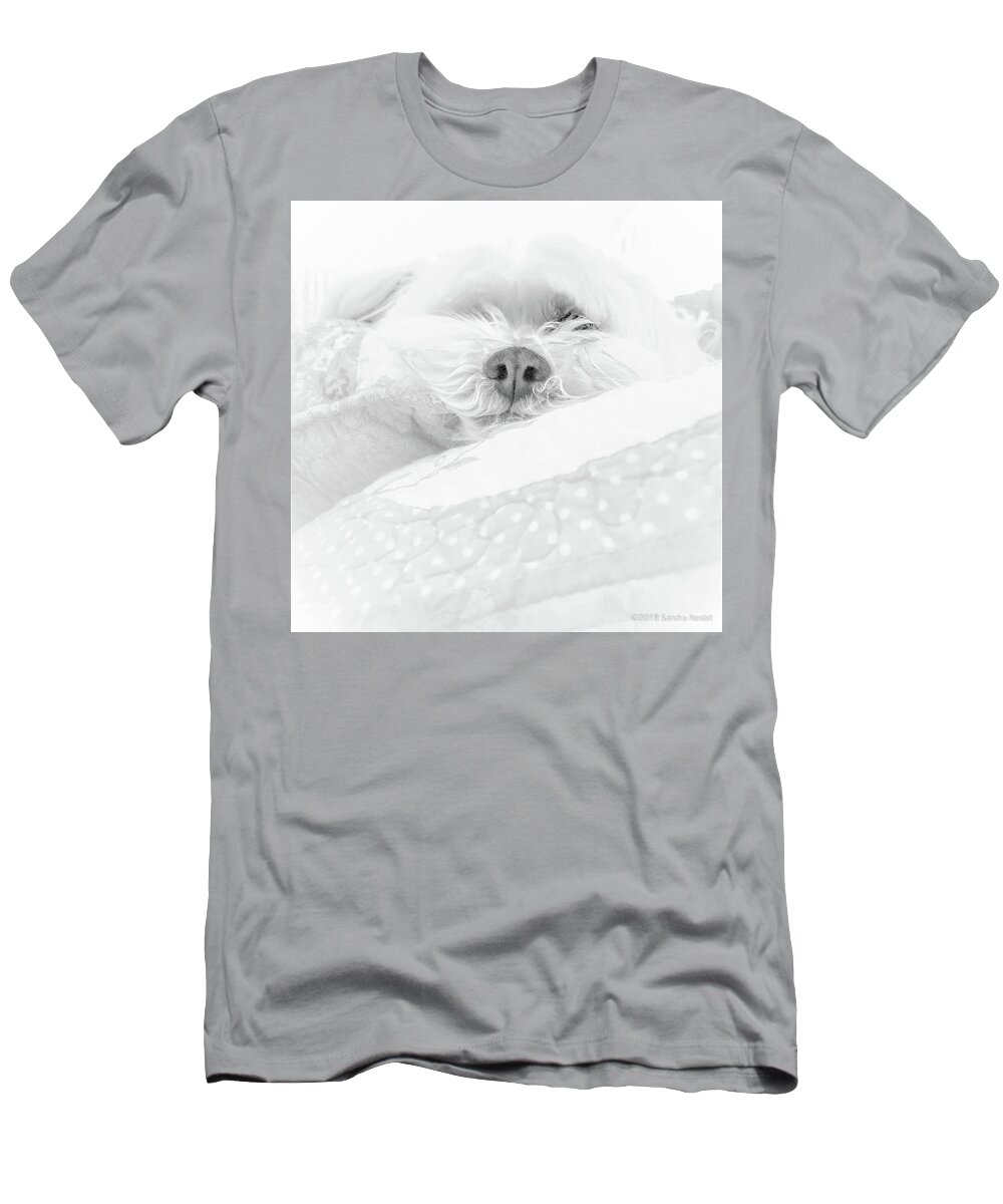 Dog T-Shirt featuring the photograph Molly Madison Asleep High Key by Sandra Nesbit