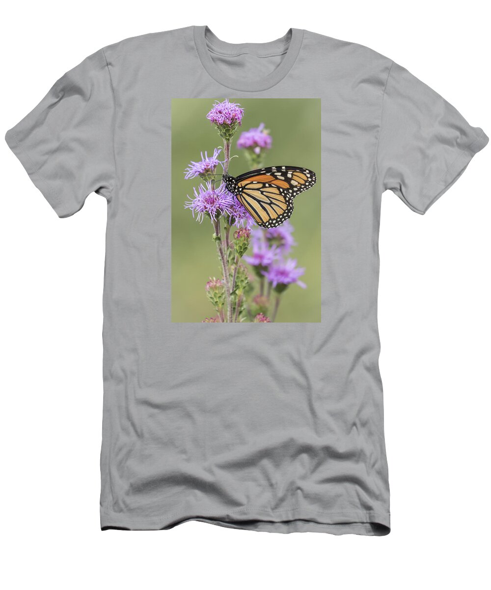 Monarch Butterfly T-Shirt featuring the photograph Monarch and Blazing Star 1-2015 by Thomas Young