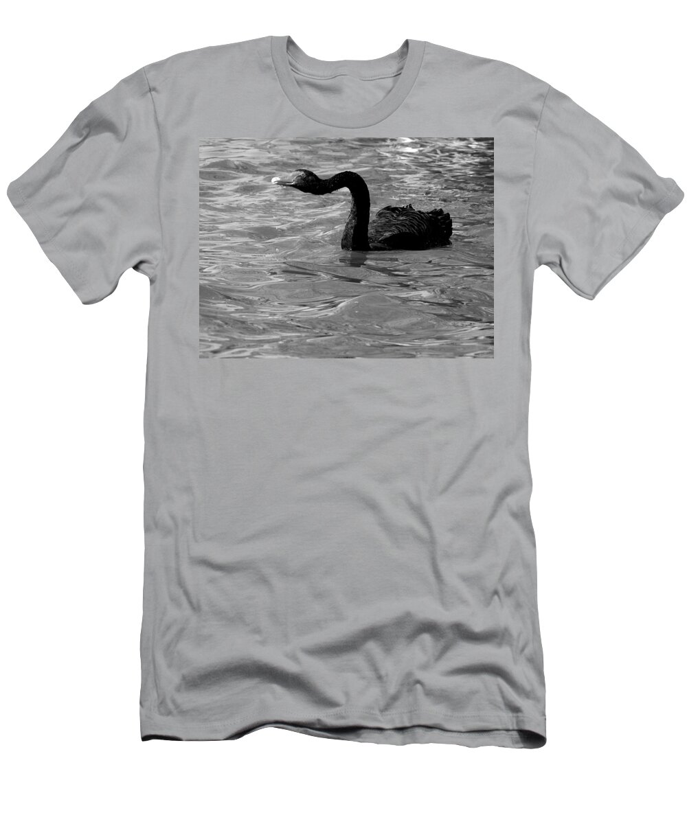 Black Swan T-Shirt featuring the photograph Monochrome Swimming Black Swan 000  by Christopher Mercer