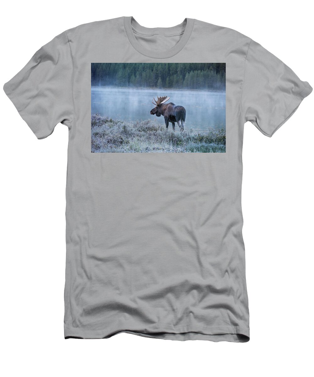 Moose T-Shirt featuring the photograph Moose in the Morning by Deborah Penland