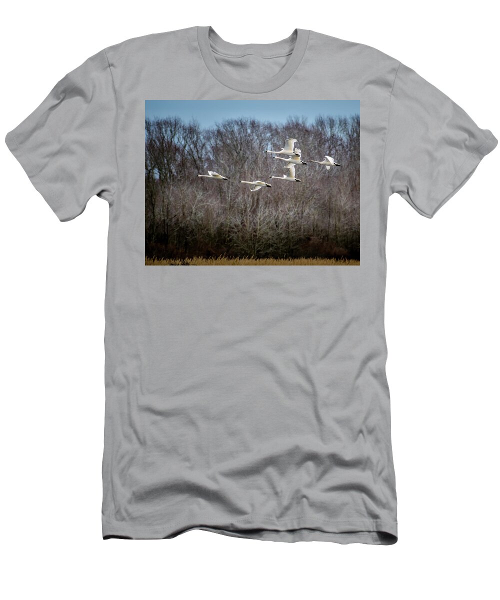 Nature T-Shirt featuring the photograph Morning Flight of Tundra Swan by Donald Brown