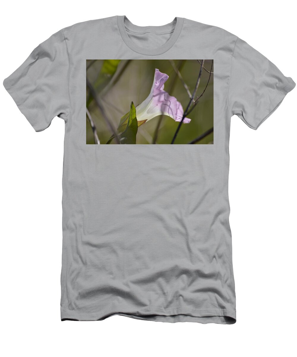 Morning Glory Light And Shadows T-Shirt featuring the photograph Morning Glory Light and Shadows by Warren Thompson
