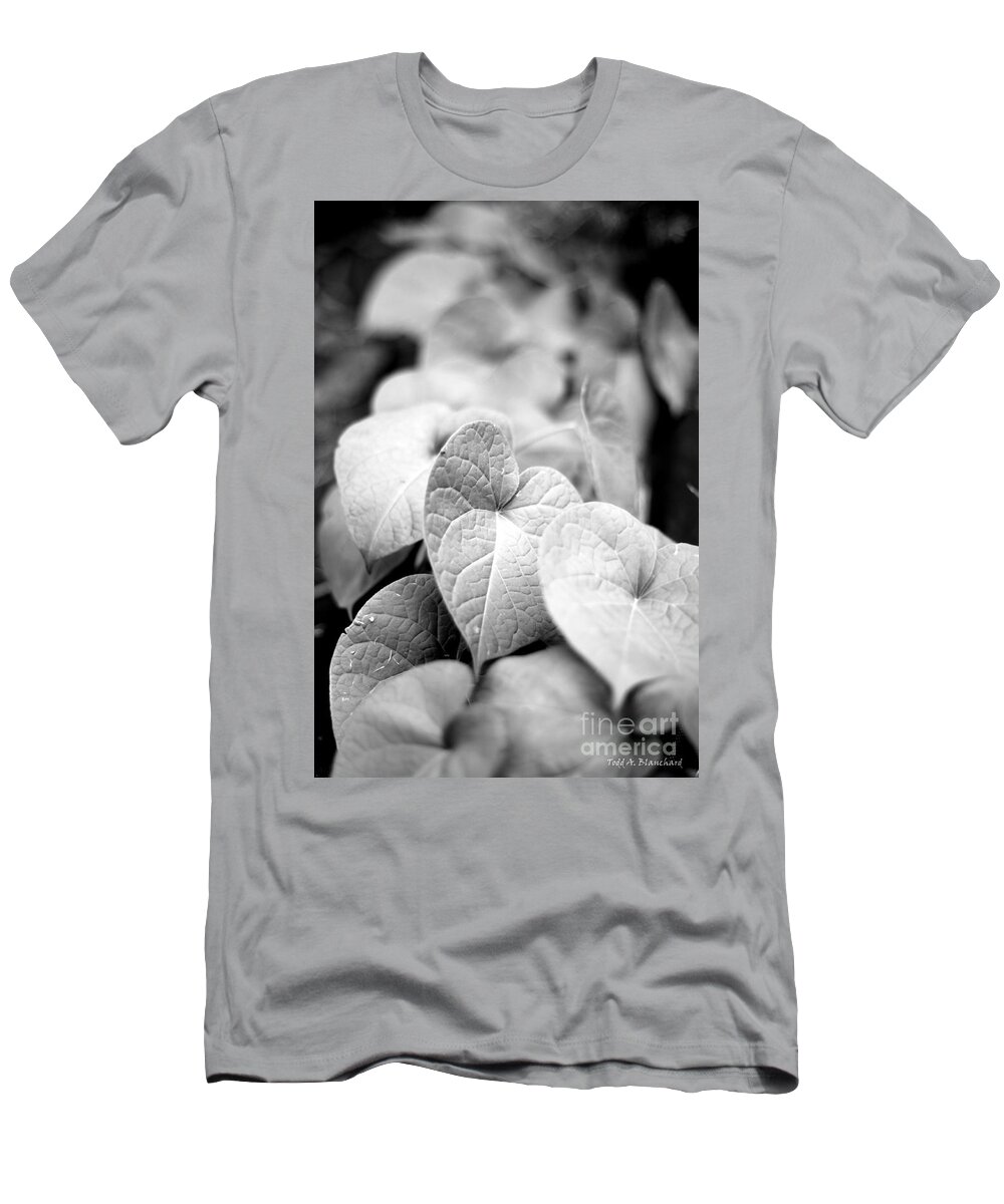 Nature T-Shirt featuring the photograph Morning Glory Vines by Todd Blanchard