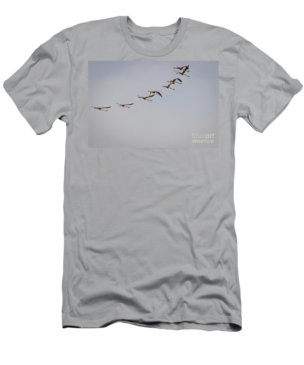 Animalia T-Shirt featuring the photograph Morning Over The Lagoon by Jivko Nakev
